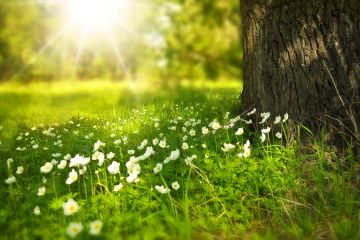 Mindfulness en structures éducatives